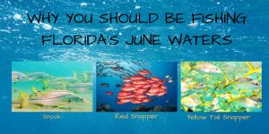 Why You Should Fish Florida's June Waters